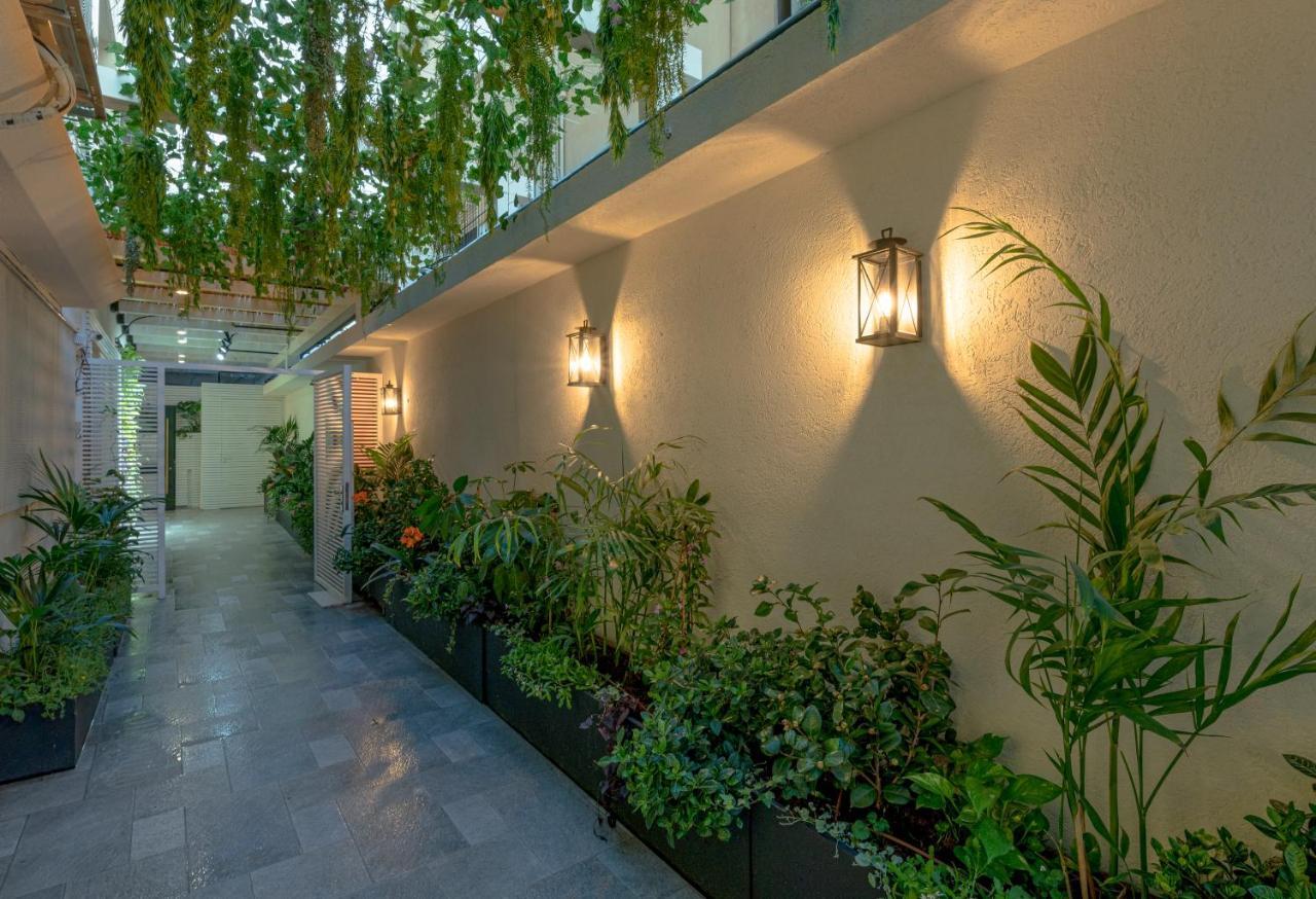 Dizengoff Garden Hotel 特拉维夫 外观 照片